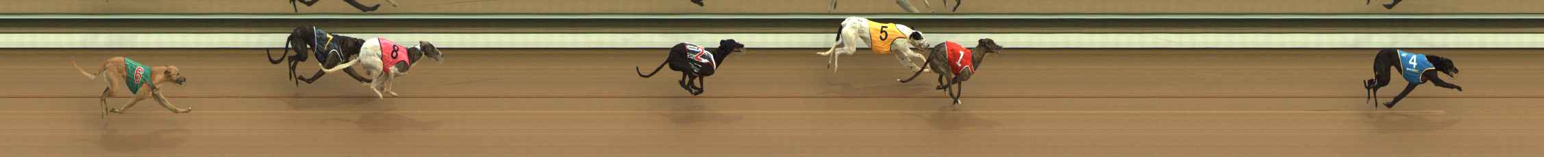 Photo finish for The Meadows Race 1