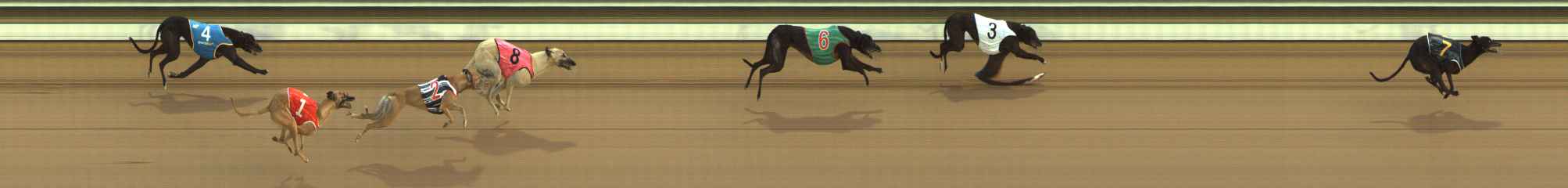 Photo finish for The Meadows Race 4