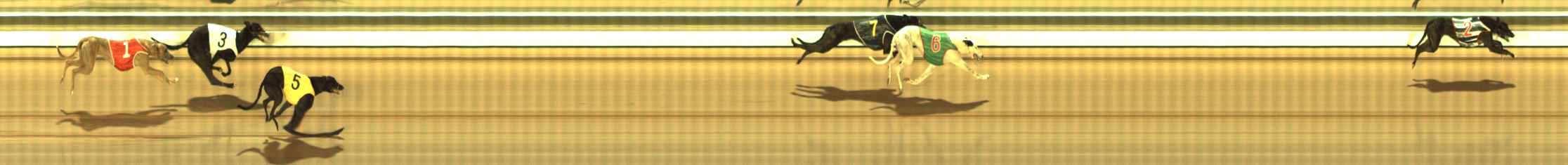Photo finish for The Meadows Race 7
