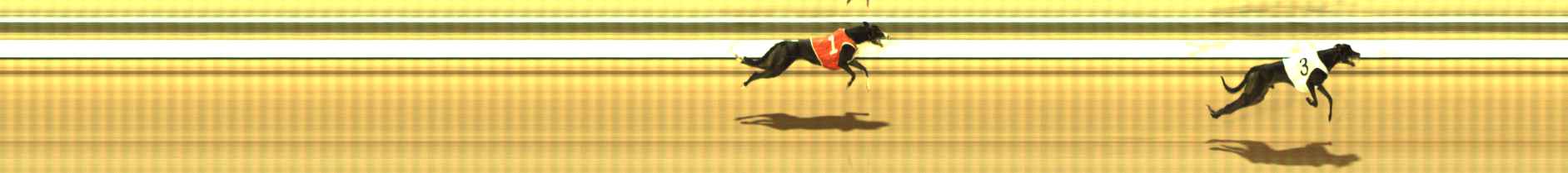 Photo finish for The Meadows Race 9