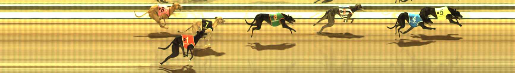 Photo finish for The Meadows Race 10