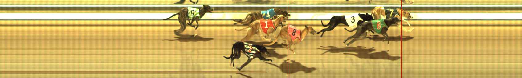 Photo finish for The Meadows Race 11