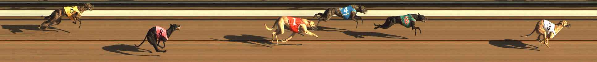 Photo finish for The Meadows Race 1