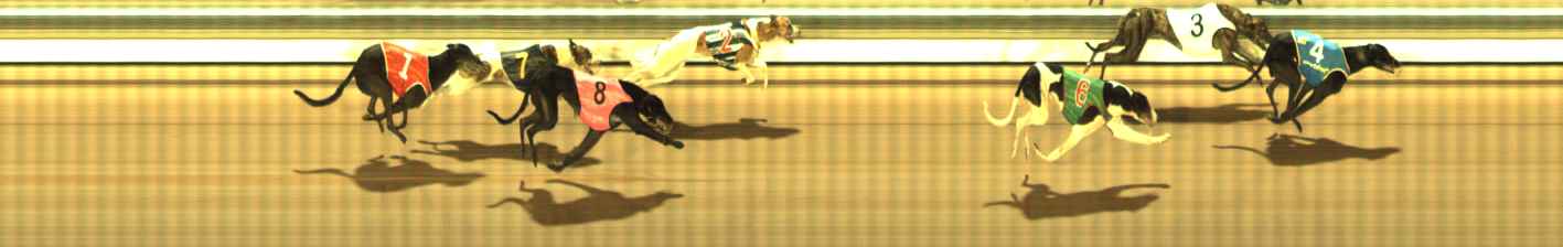 Photo finish for The Meadows Race 8