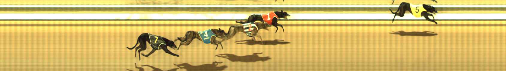 Photo finish for The Meadows Race 9