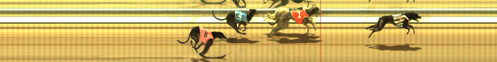 Photo finish for The Meadows Race 10
