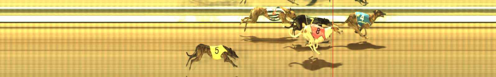 Photo finish for The Meadows Race 11