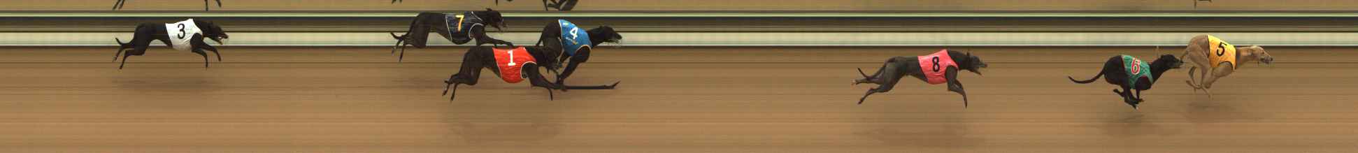 Photo finish for The Meadows Race 2