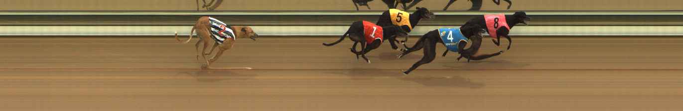 Photo finish for The Meadows Race 4