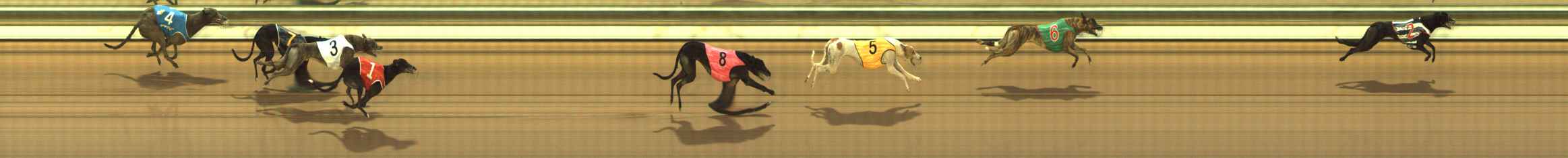 Photo finish for The Meadows Race 7
