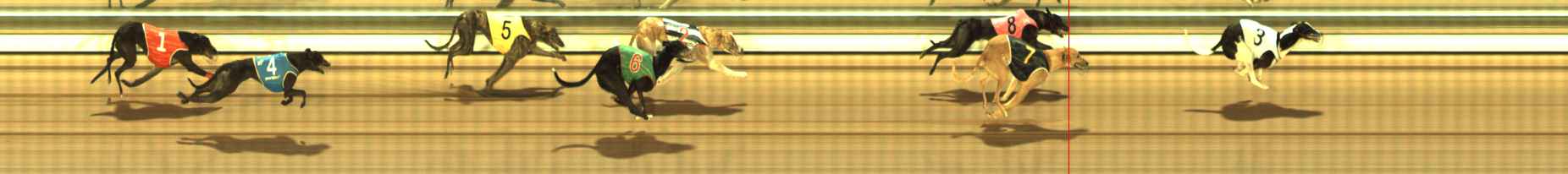 Photo finish for The Meadows Race 8