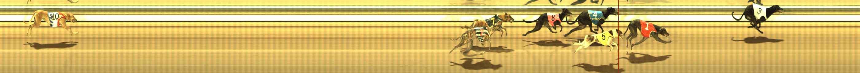 Photo finish for The Meadows Race 9