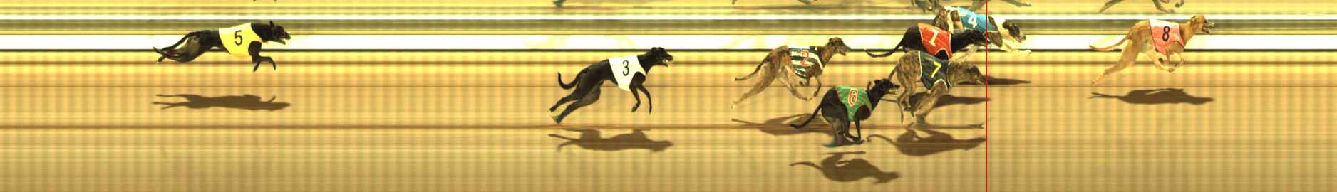 Photo finish for The Meadows Race 10