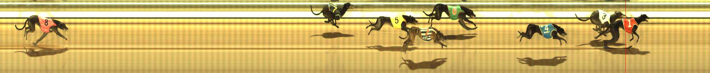 Photo finish for The Meadows Race 11