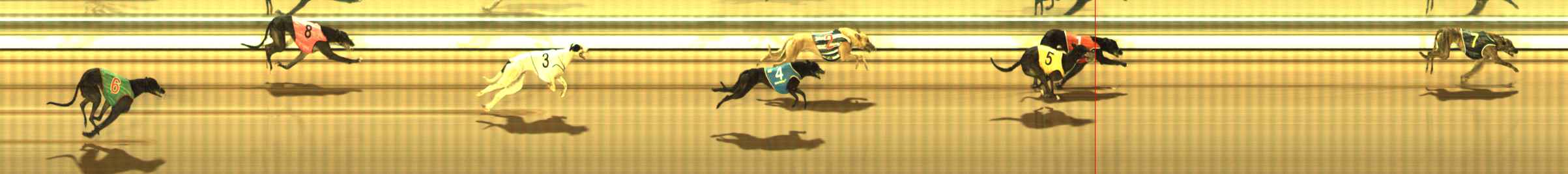 Photo finish for The Meadows Race 12