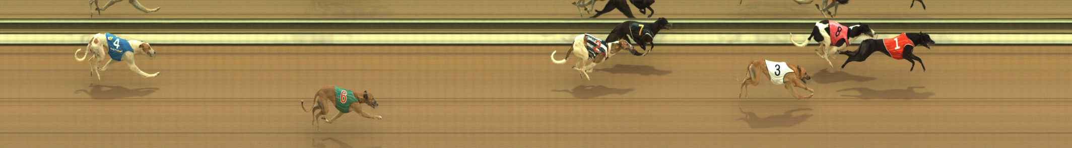 Photo finish for The Meadows Race 6