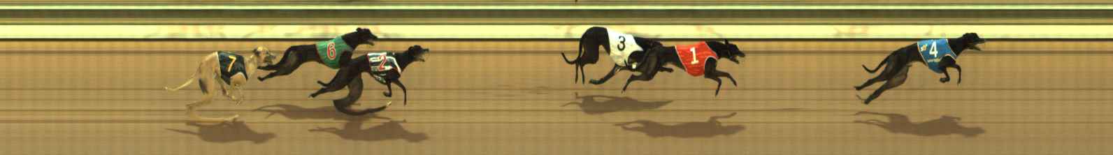 Photo finish for The Meadows Race 7