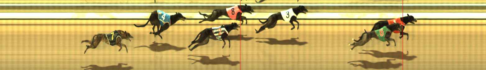Photo finish for The Meadows Race 8