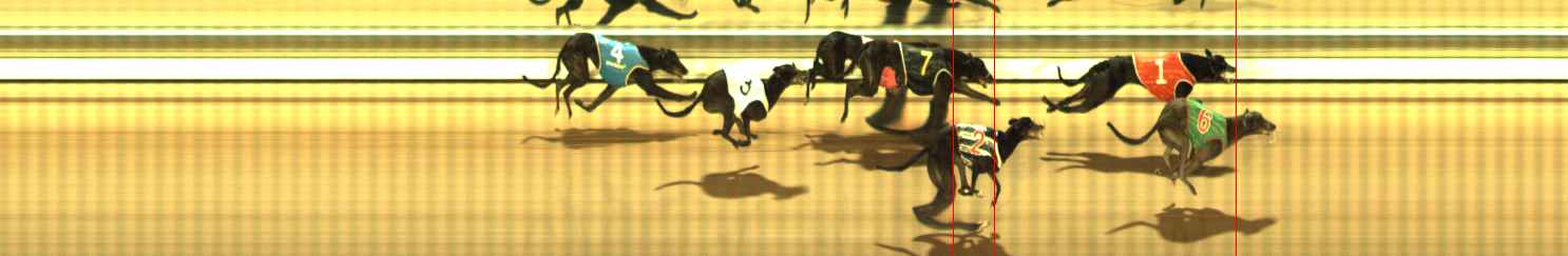 Photo finish for The Meadows Race 9