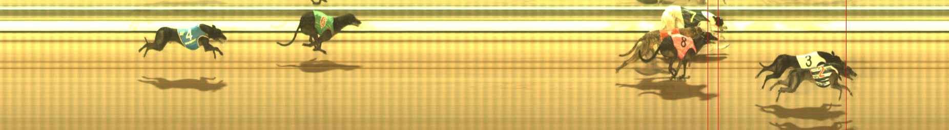 Photo finish for The Meadows Race 10