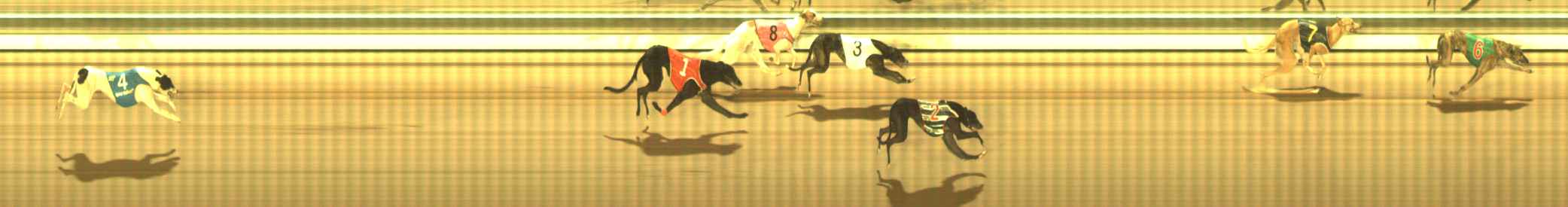 Photo finish for The Meadows Race 11