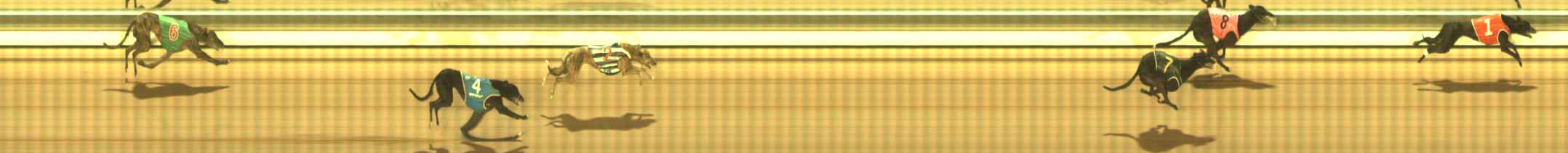 Photo finish for The Meadows Race 12