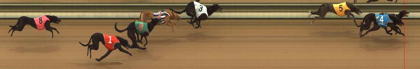 Photo finish for The Meadows Race 2