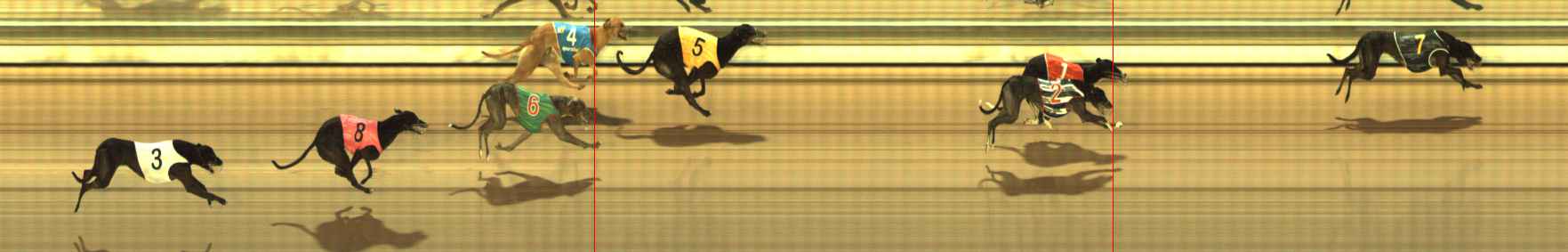 Photo finish for The Meadows Race 6