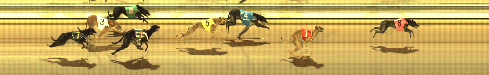 Photo finish for The Meadows Race 7
