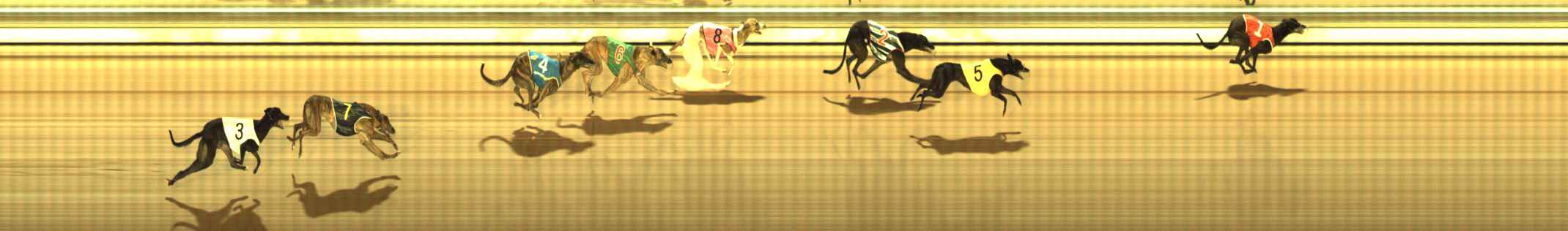 Photo finish for The Meadows Race 9