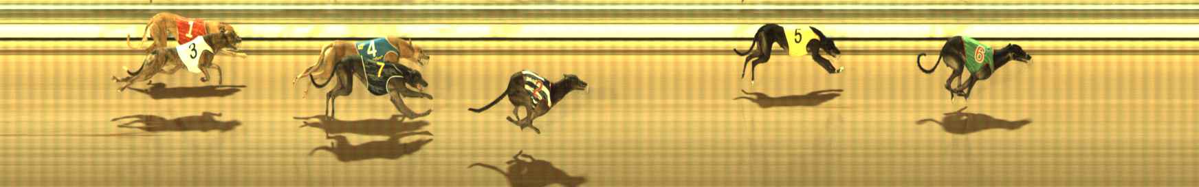 Photo finish for The Meadows Race 10