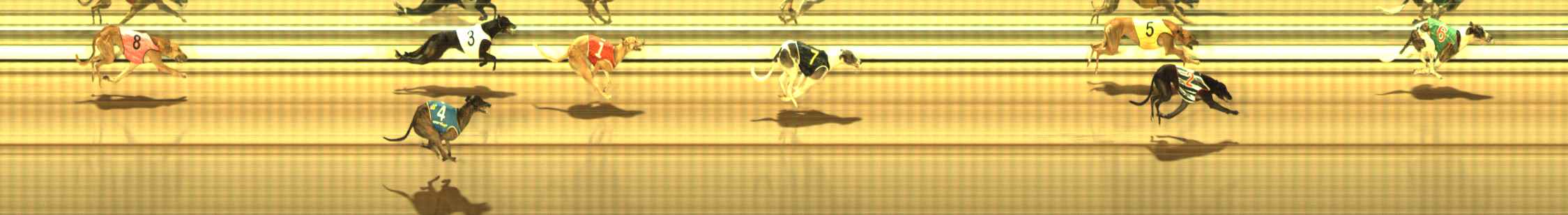 Photo finish for The Meadows Race 11