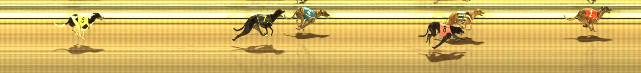 Photo finish for The Meadows Race 12