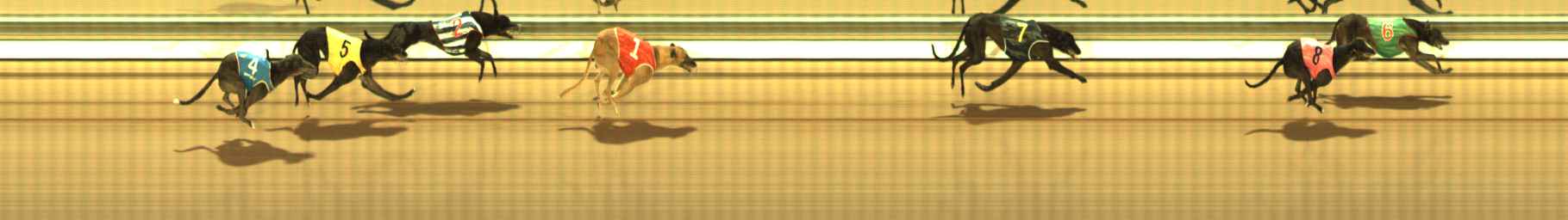 Photo finish for The Meadows Race 8
