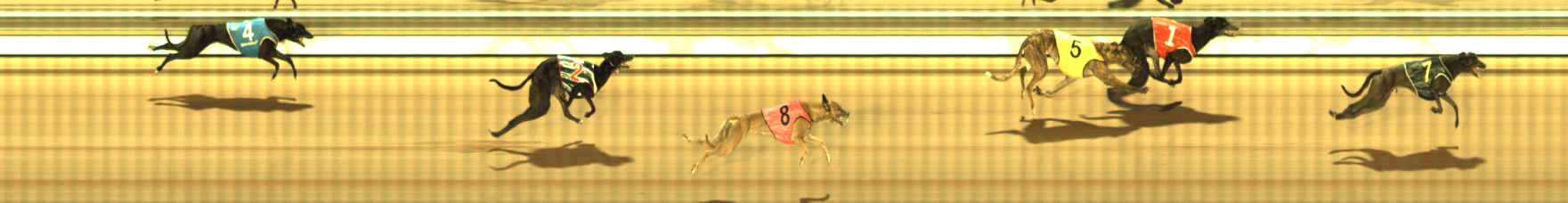 Photo finish for The Meadows Race 9