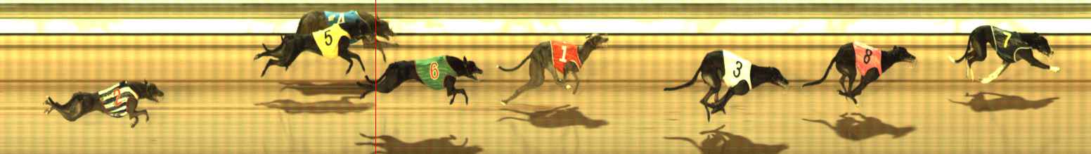 Photo finish for The Meadows Race 10