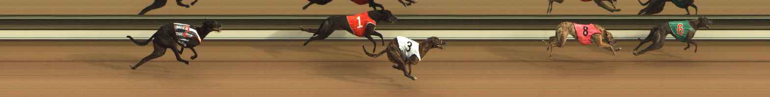 Photo finish for The Meadows Race 1