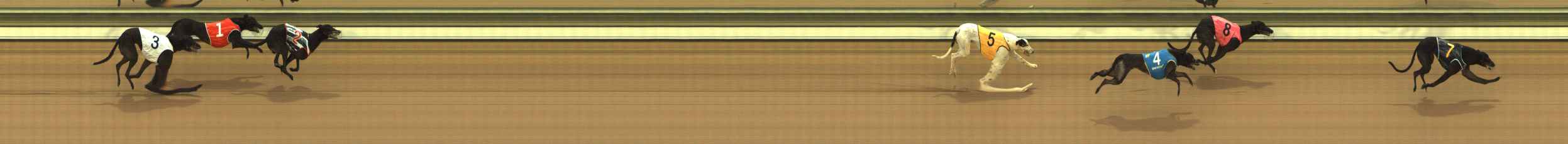Photo finish for The Meadows Race 4