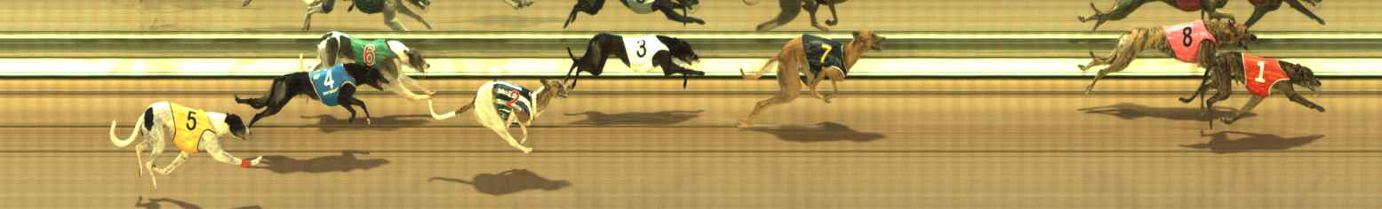 Photo finish for The Meadows Race 7