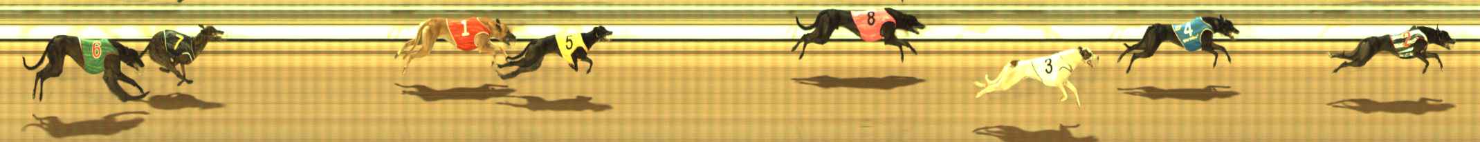 Photo finish for The Meadows Race 8