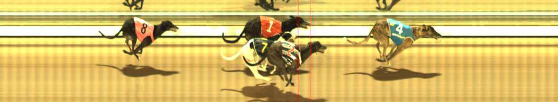 Photo finish for The Meadows Race 9