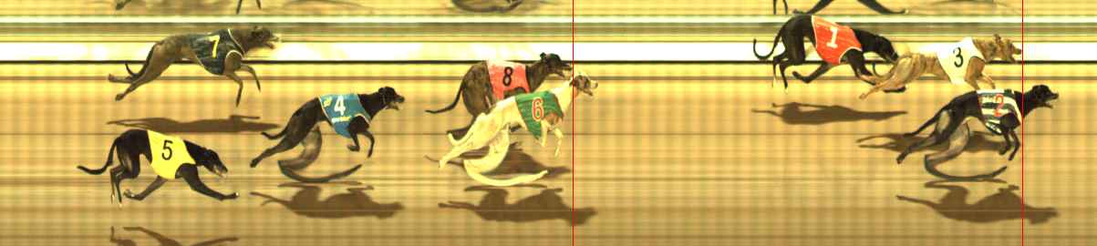 Photo finish for The Meadows Race 11