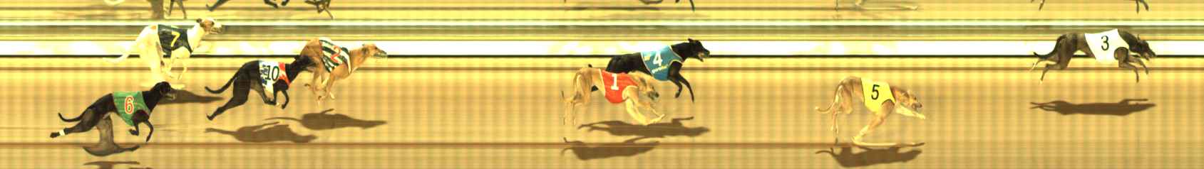 Photo finish for The Meadows Race 12