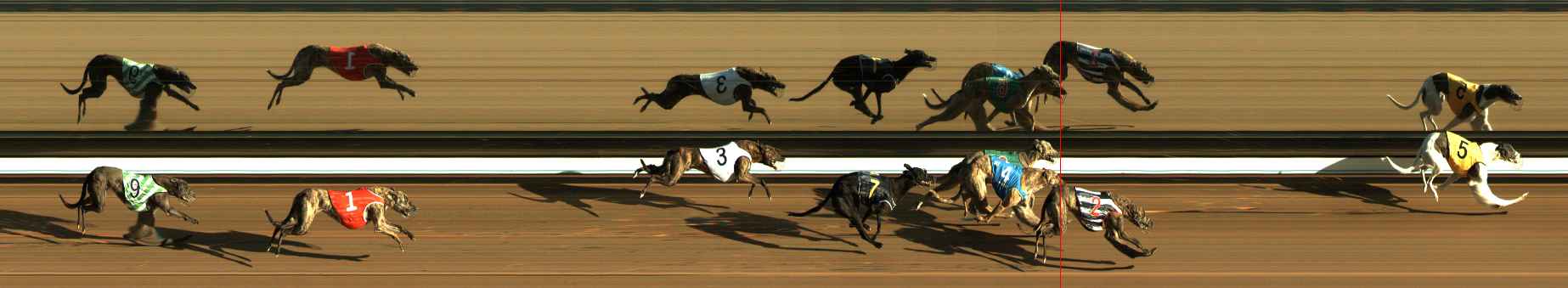Photo finish for The Meadows Race 1