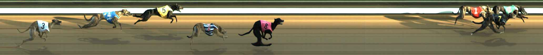 Photo finish for The Meadows Race 3