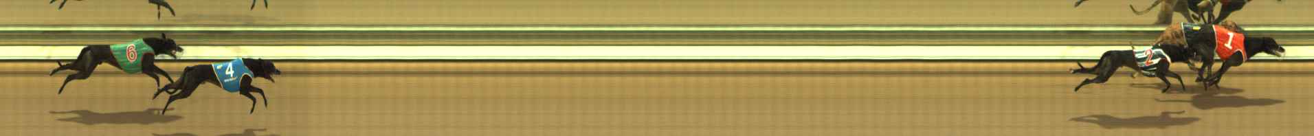 Photo finish for The Meadows Race 6