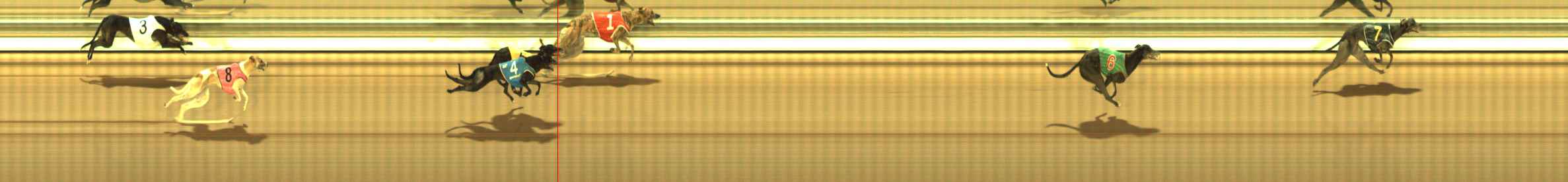 Photo finish for The Meadows Race 7