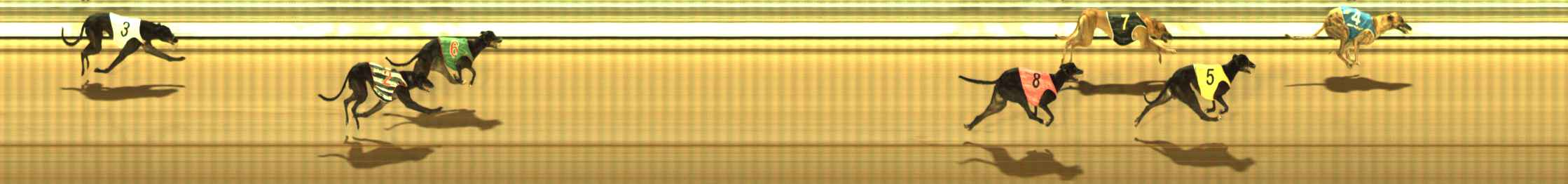 Photo finish for The Meadows Race 8