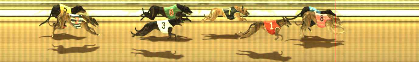 Photo finish for The Meadows Race 9