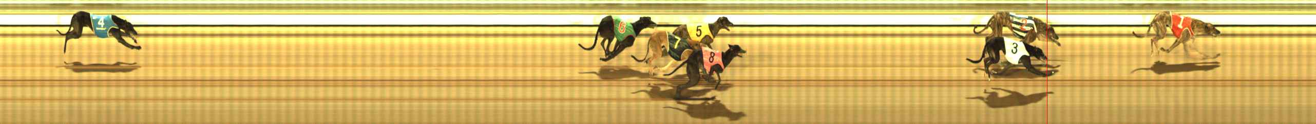 Photo finish for The Meadows Race 10